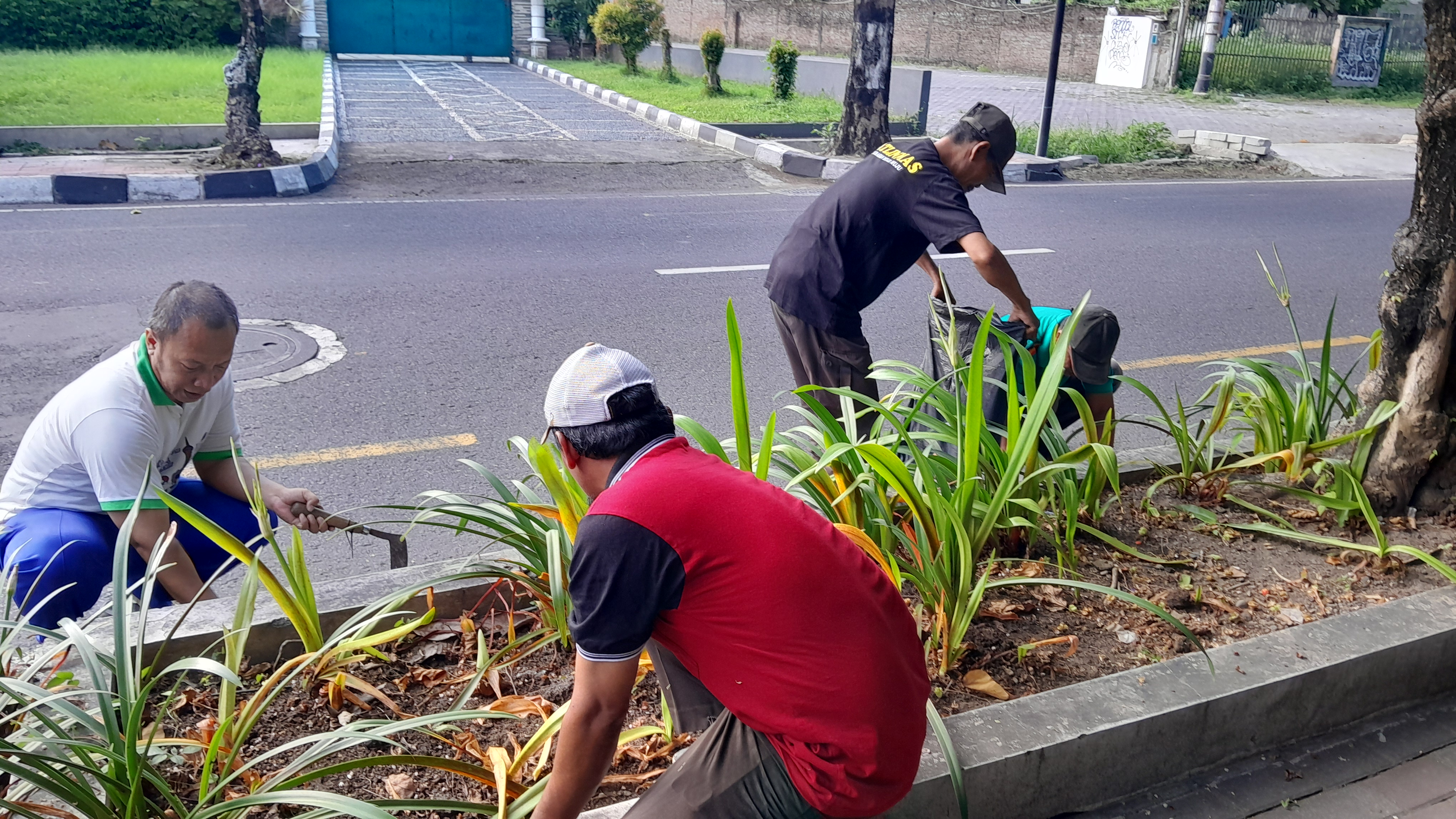 Dukung 'Gerakan Asri Indonesia', DLH Kota Yogyakarta Gelar Korve 'Jogja Berhati Nyaman' di Jl. Ipda Tut Harsono